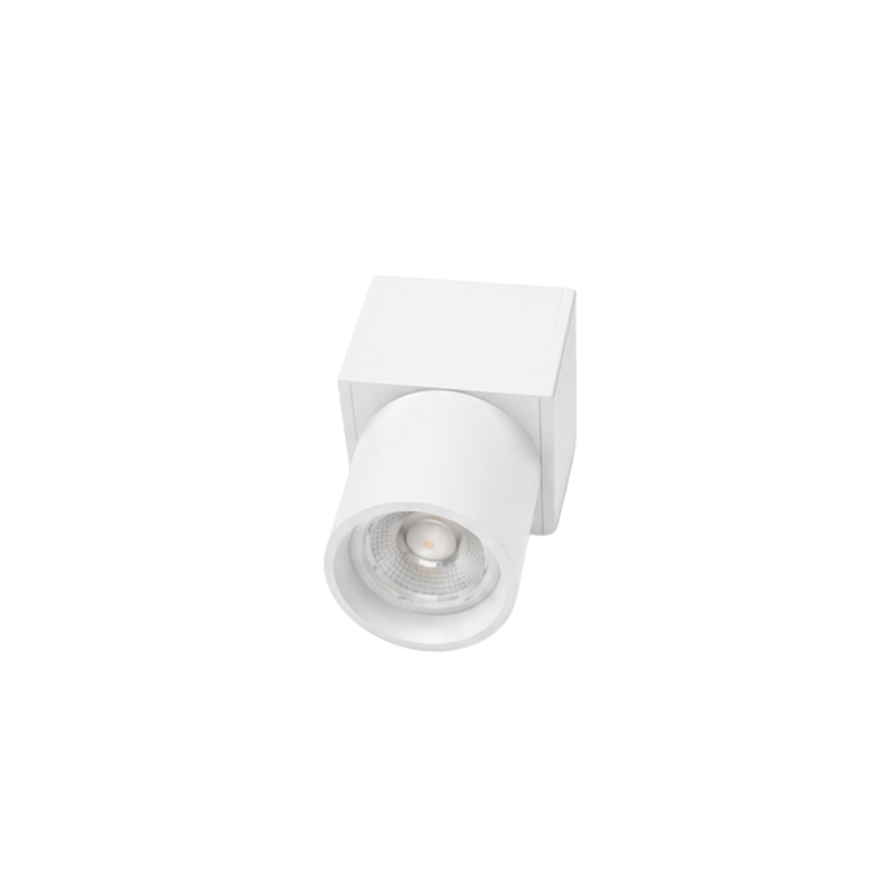 CL-Spot01 - Image 2