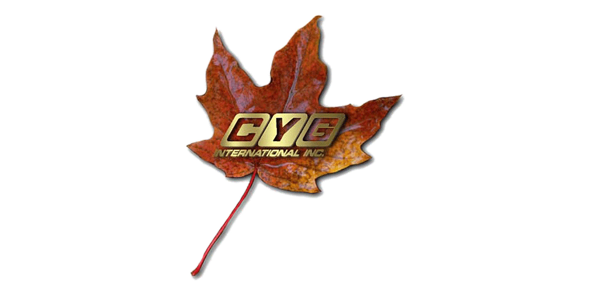 CYG International Inc. Logo